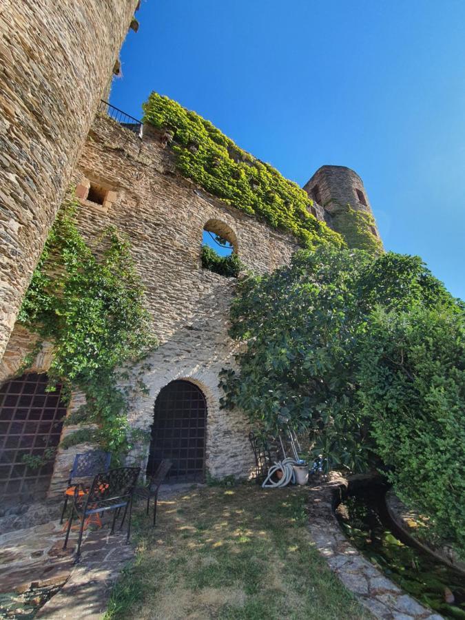 Chambre D'Hotes Au Chateau De Belcastel Belcastel  Exterior foto